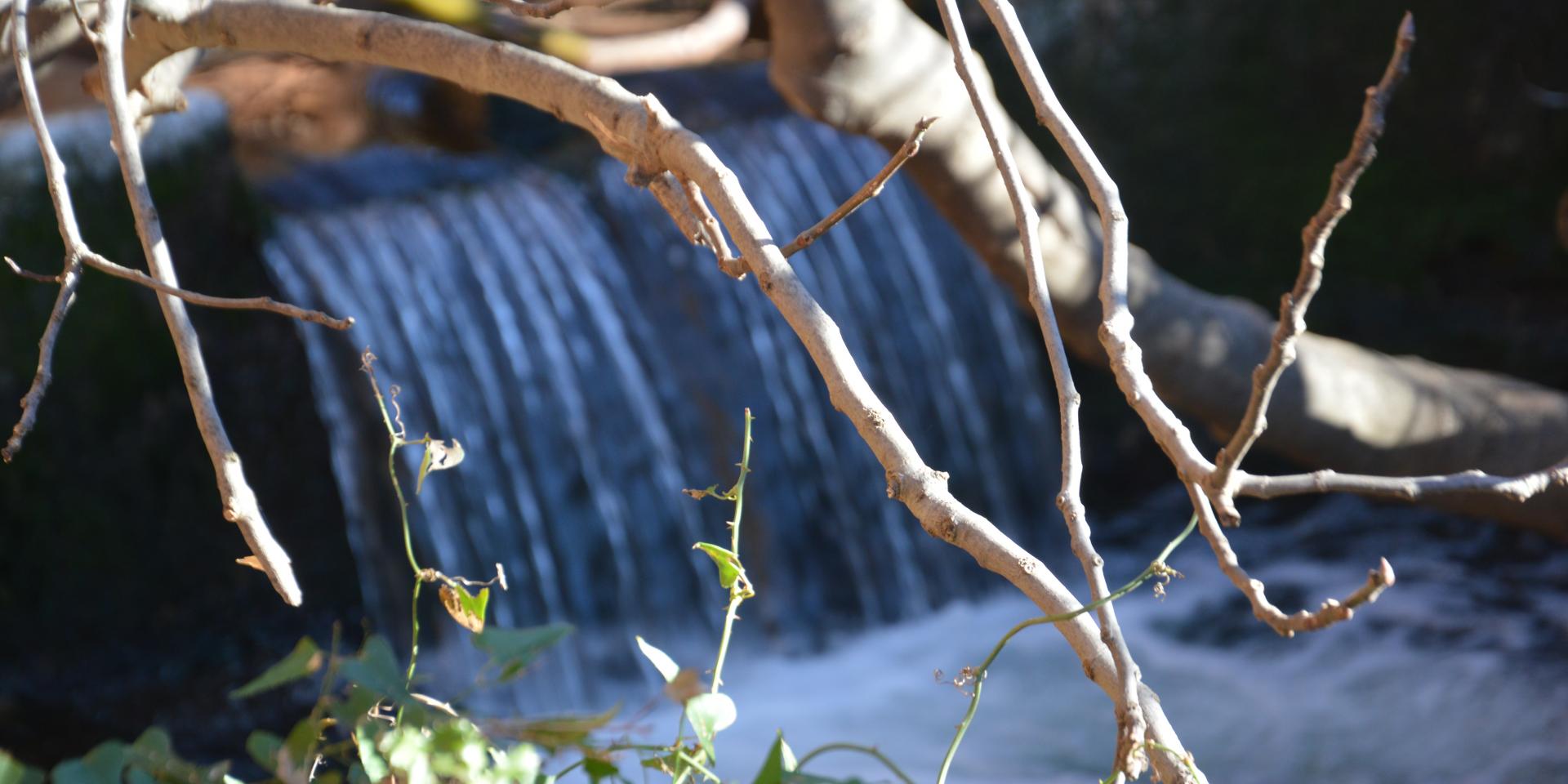 Marignane Ville d’eaux | Office de Tourisme de Marignane