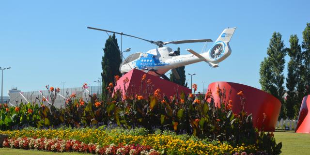 Dsc 1355