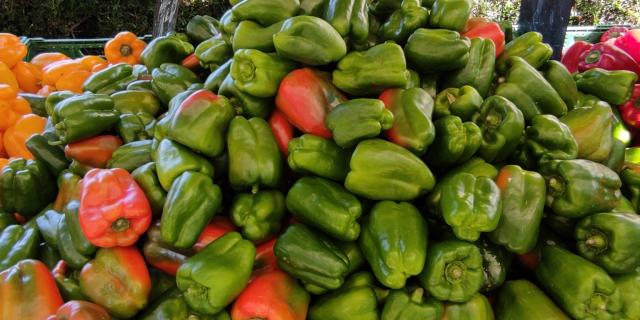 Marché Août 2021 Ot 2