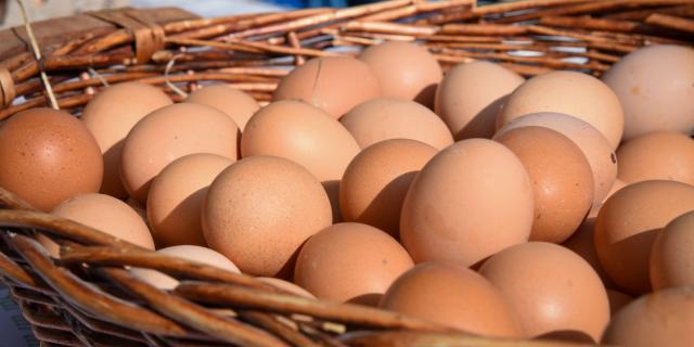 MarchÉ Marignane 05 2022 4